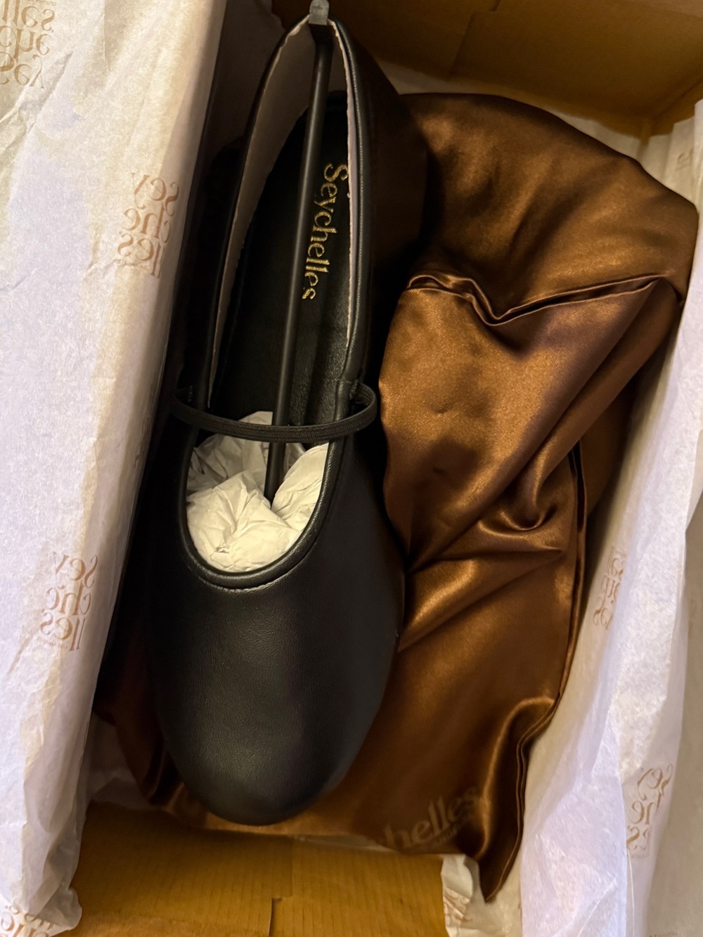 Seychelles Genuine Leather Black Mary Jane Ballet Flat Travel with Pouch